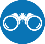 SEARCH ENGINE 